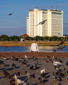 Morning riverside scene in Phnom Penh with pigeons and river view