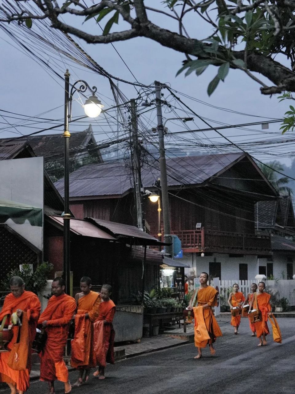 Luang Prabang monks walking in the early morning